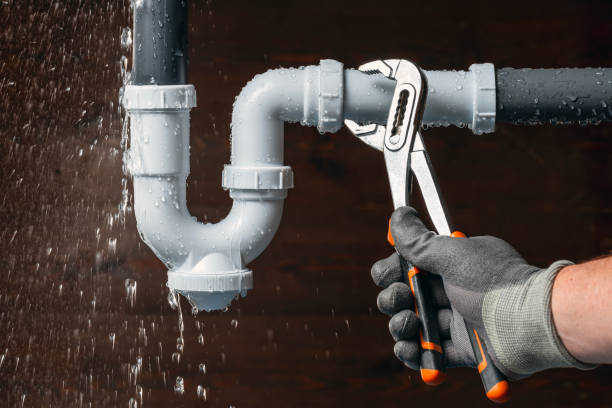 Professional Emergency Plumber technician working in Stevensville, MI
